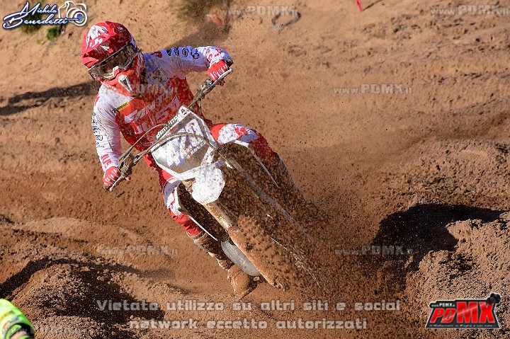 DSC_9256 (Copy).JPG